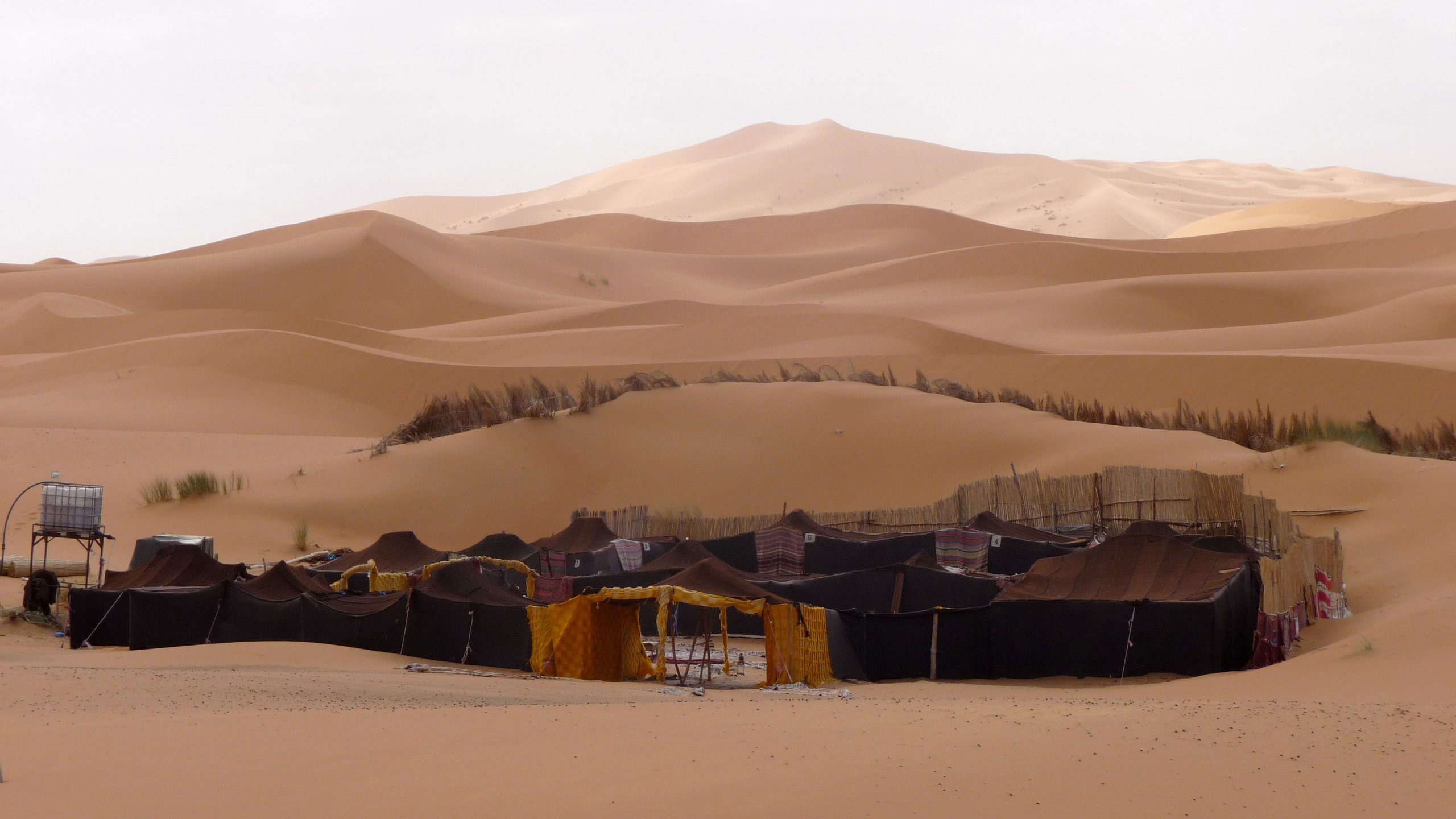 Luxury Desert Camping in Morocco: Glamping Under the Saharan Stars