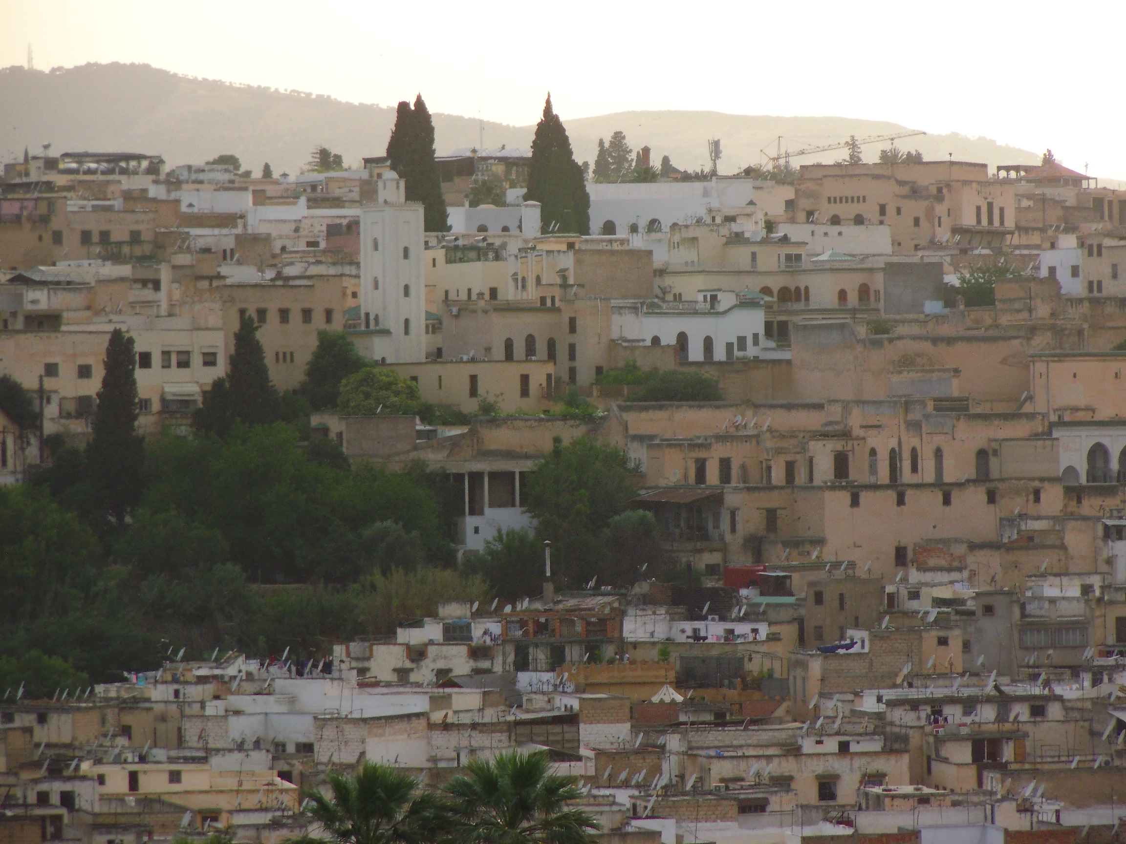 Fez: Morocco’s Imperial City and Gateway to the Eastern Sahara