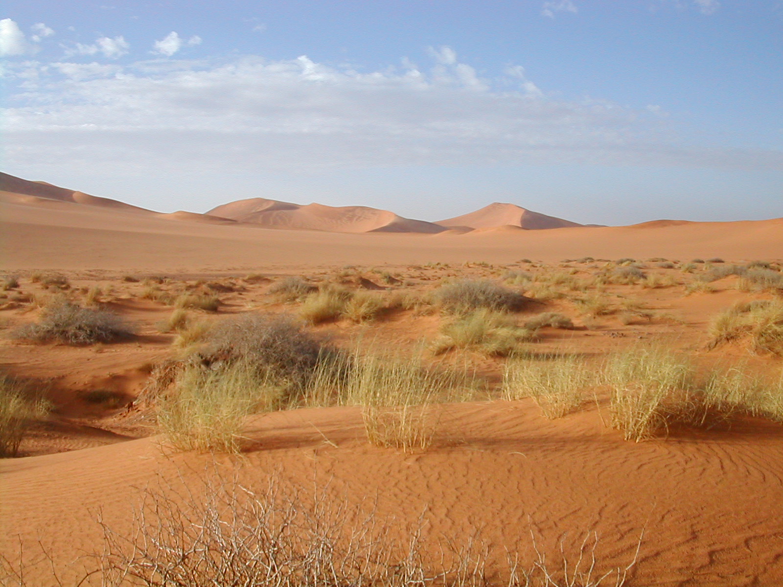 Sahara Desert Safety: Essential Tips for a Worry-Free Adventure